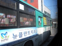 동두천 구 터미널 잡사 - 버스 갤러리