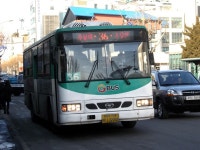 동두천 구 터미널 잡사 - 버스 갤러리