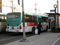 동두천 구 터미널 잡사 - 버스 갤러리