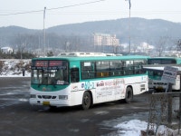 파주,일산,김포 잡사 - 버스 갤러리