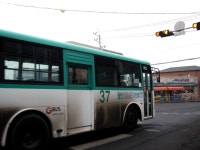 [의정부,양주,파주] 일대... - 버스 갤러리