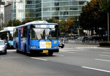 [서울] 삼성역,대학로 잡사... - 버스 갤러리