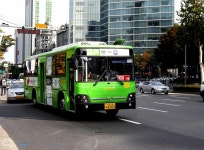 [서울] 삼성역,대학로 잡사... - 버스 갤러리
