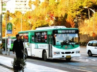 [경기] 야탑역,미금역 잡사 - 버스 갤러리