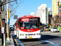 [경기] 야탑역,미금역 잡사 - 버스 갤러리