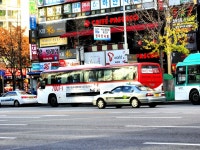 [경기] 야탑역,미금역 잡사 - 버스 갤러리