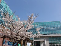 경기과학기술대학교의 비젼. - 2,3년제 대학 갤러리