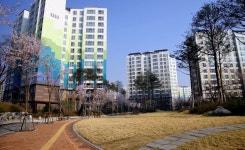판교 11단지 힐스테이트 봄소식. 안구정화...ㅎㄷㄷ - 부동산 갤러리