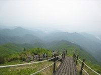 소백산우여곡절후기 - 등산 갤러리