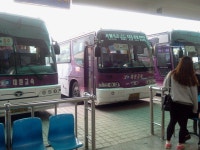 어떤차 탈까?? - 버스 갤러리