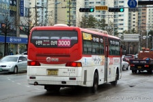 수일지하도 잡채(1) - 버스 갤러리