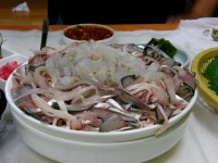 마산 회산다리표 전어회 - 기타음식 갤러리