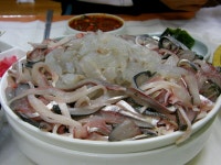 마산 회산다리표 전어회 - 기타음식 갤러리