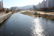 대백프라자 신천 3호선 - 도시 갤러리