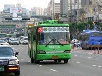 지금은 대차된 동작05 코스모스....... - 버스 갤러리