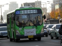 양재동 - 버스 갤러리