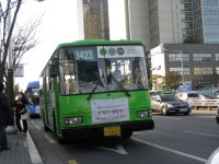 양재동 - 버스 갤러리