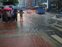 어제오후...강남역(버스사진 포함) - 버스 갤러리