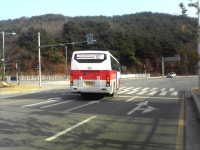 [부산]세진여객 1007번 유니버스CNG - 버스 갤러리