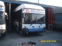 [부산]해동여객 BS110CN 2대출고!!! - 버스 갤러리