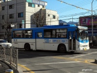 [포천] 포천교통,선진시내버스 138 시리즈 - 버스 갤러리