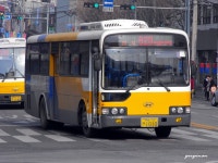 [아산] 온양온천 잡사.. - 버스 갤러리