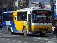 [아산] 온양온천 잡사.. - 버스 갤러리
