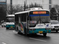 [경남] 마산,창원 잡사... - 버스 갤러리