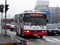 [경남] 마산,창원 잡사... - 버스 갤러리