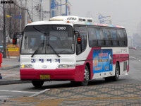 [경남] 마산/창원시외버스터미널 잡사2... - 버스 갤러리