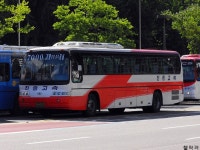 [사진] 진흥고속 7000번&8000번. - 버스 갤러리