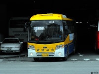 [사진] 야탑터미널의 희귀노선들. - 버스 갤러리