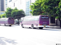 [사진] 야탑터미널의 희귀노선들. - 버스 갤러리