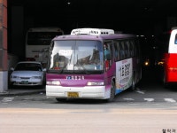 [사진] 야탑터미널의 희귀노선들. - 버스 갤러리