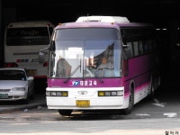 [사진] 야탑터미널의 희귀노선들. - 버스 갤러리