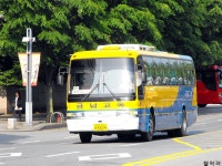 [사진] 야탑터미널의 희귀노선들. - 버스 갤러리