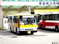 [인제] 원통터미널 잡사. - 버스 갤러리