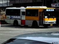 [인제] 원통터미널 잡사. - 버스 갤러리