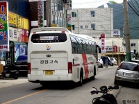 [인제] 원통터미널 잡사. - 버스 갤러리