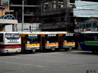 [인제] 원통터미널 잡사. - 버스 갤러리