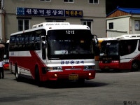 [인제] 원통터미널 잡사. - 버스 갤러리