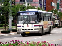 [속초/양양] 시내.농어촌버스 잡사. - 버스 갤러리