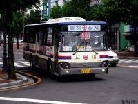 [속초/양양] 시내.농어촌버스 잡사. - 버스 갤러리