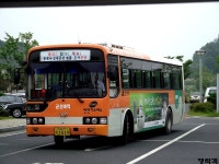 [군산] 시내버스 잡사. - 버스 갤러리