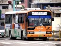 [군산] 시내버스 잡사. - 버스 갤러리