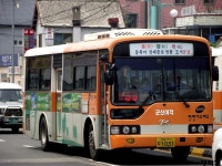 [군산] 시내버스 잡사. - 버스 갤러리