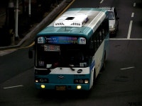 [여수] 시내버스 잡사. - 버스 갤러리