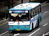 [여수] 시내버스 잡사. - 버스 갤러리