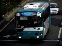 [여수] 시내버스 잡사. - 버스 갤러리