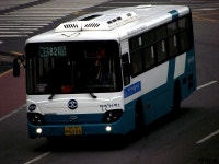 [여수] 시내버스 잡사. - 버스 갤러리